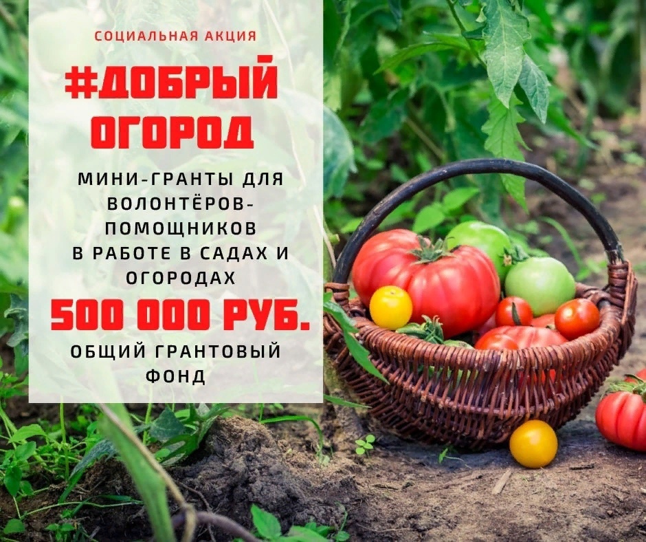 Новый сезон акции #ДобрыйОгород.