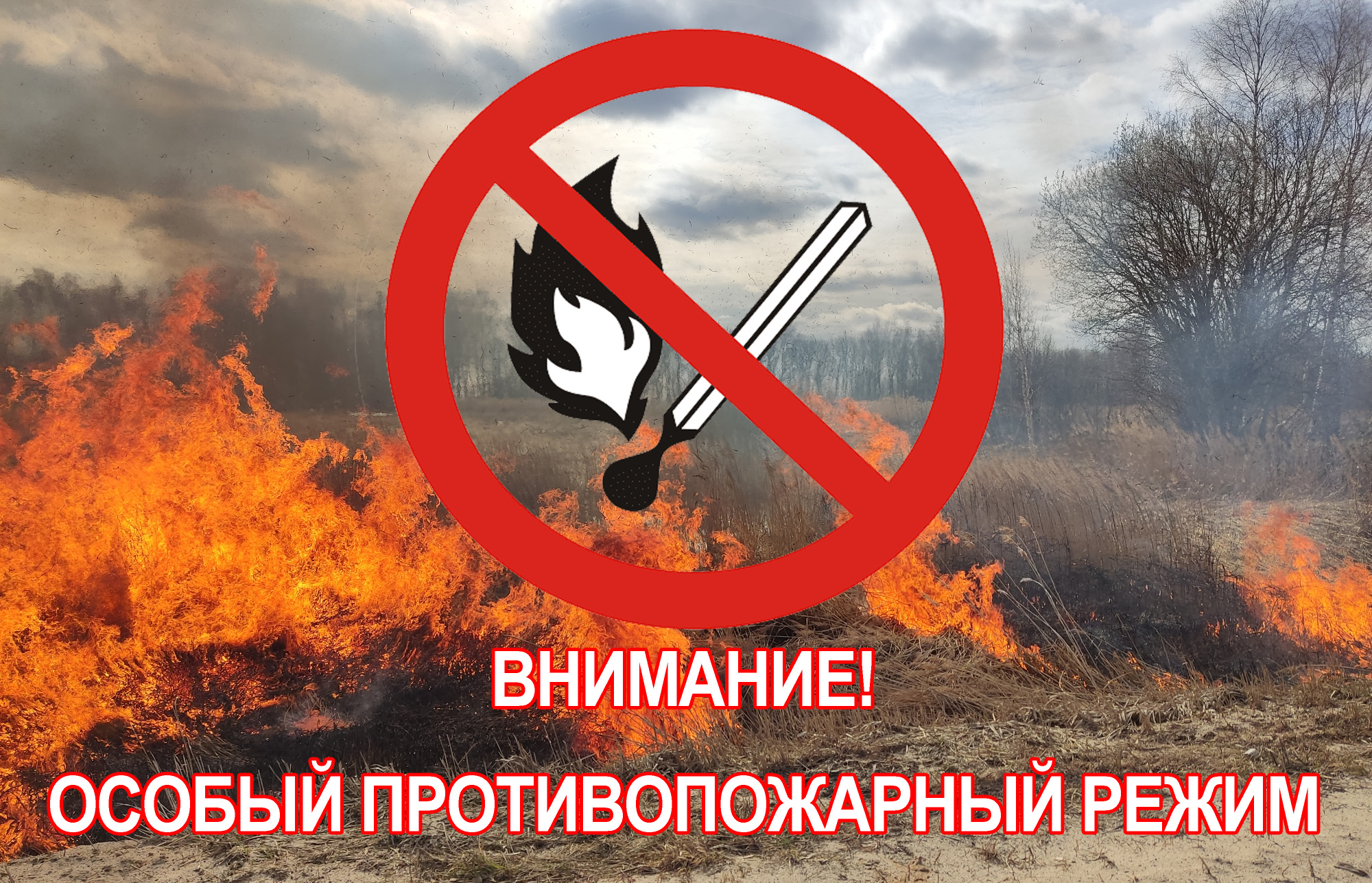 О введении особого противопожарного режима на территории муниципального образования сельского поселения "Зеленец".